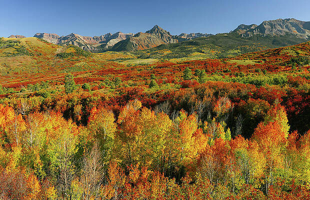 Wall Art featuring the photograph Fall Landscape Dallas Divide Colorado by Dan Sproul