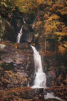 Fall Photograph - Fall Leaves On Buttermilk Falls by Jason Fink