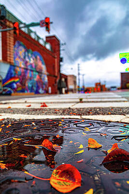 Wall Art featuring the photograph Fall Manhole by Jonny D