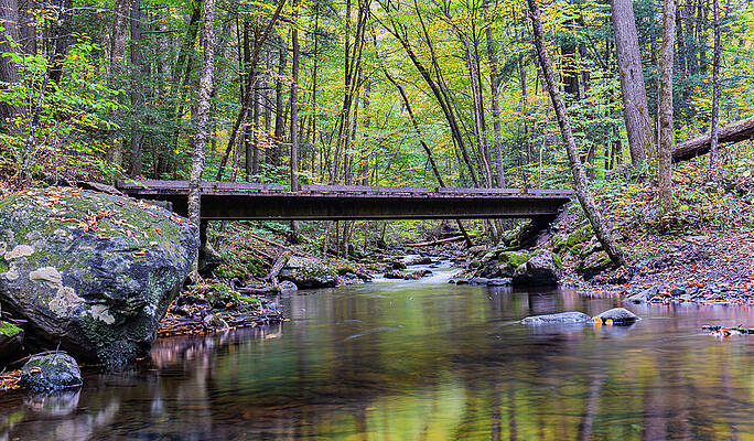 Photograph - Fall On Hornbeck's Creek by Ron Long Ltd Photography