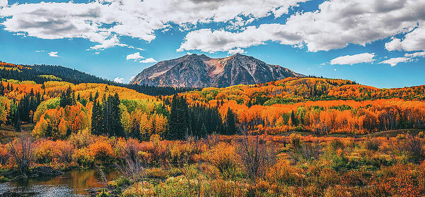 Wall Art featuring the photograph Fall On Kebler Pass by Dan Sproul