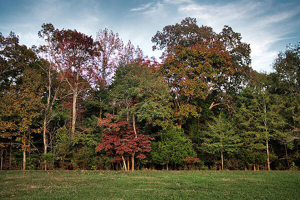 Confederate Wall Art featuring the photograph Fall On Sunken Road by American Landscapes