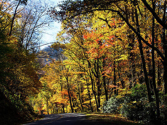 Colorful Photograph - Fall On The Blue Ridge Parkway by Charles Floyd