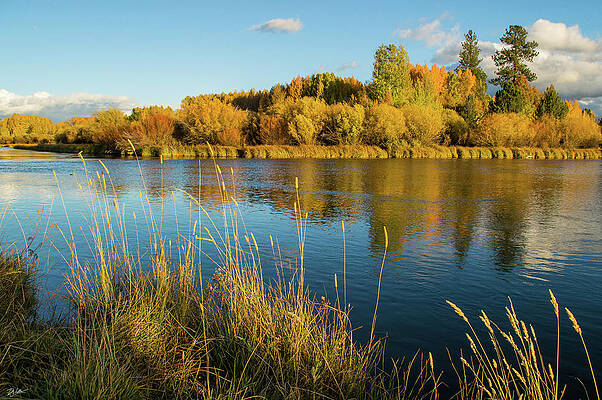 Autumn River Reflections Wall Art