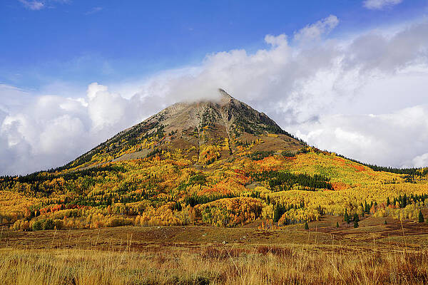 Mountain Photograph - Fall On The Mountain by Sunniye Buesing