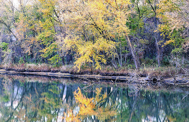 Photograph - Fall Reflection by Robert Allen Hill
