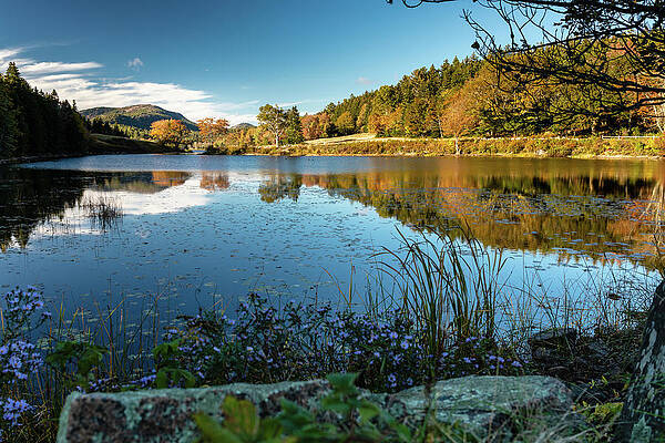 Fall Photograph - Fall Reflections In Little Long Pond by Craig A Walker