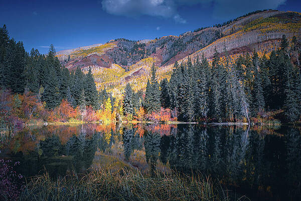 Serene Lake with Autumn Foliage Photograph