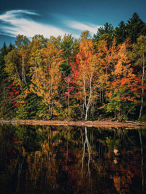 Wall Art featuring the photograph Fall Reflections Lily Bay State Park Maine by Dan Sproul