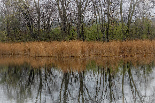 Reflection Photograph - Fall Reflections_3479 by Mark Triplett