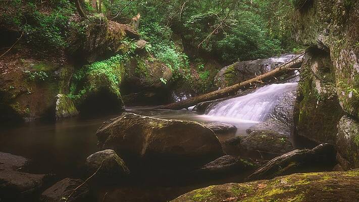 Water Wall Art featuring the photograph Fall Side At Wild Creek Falls by Jason Fink