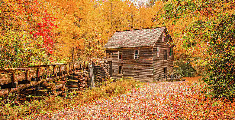 Vibrant Wall Art featuring the photograph Fall Spectacular At Mingus Mill by Marcy Wielfaert