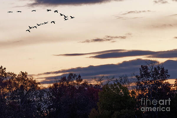 Fall Photograph - Fall Sunset At Crex Meadows by Natural Focal Point Photography