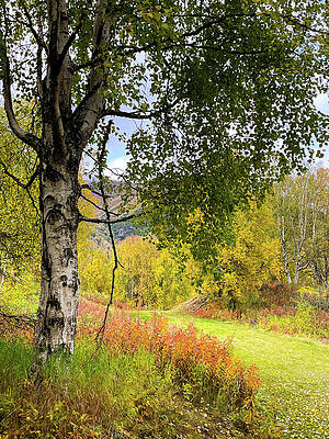 Serene Wall Art featuring the photograph Fall Trail by Harry Banks