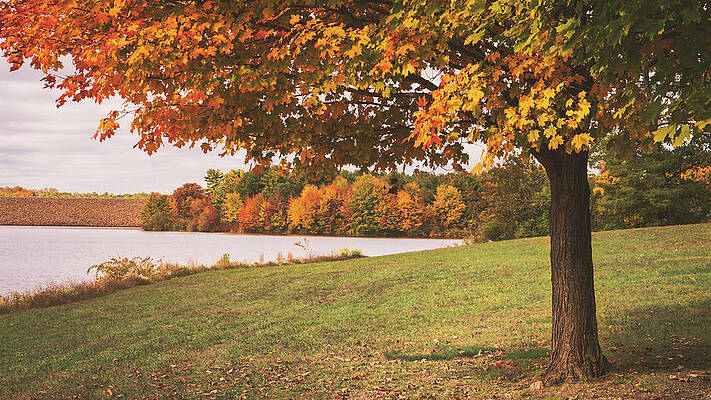 Fall Photograph - Fall View Under The Trees At Beltzville Lake by Jason Fink