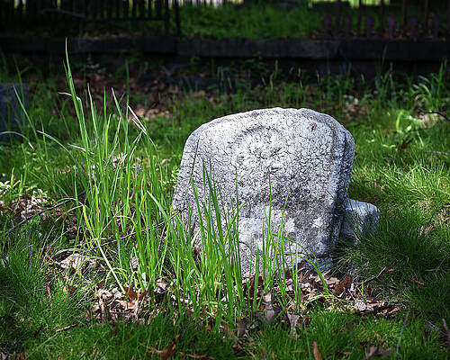 Wall Art featuring the photograph Fallen Headstone by Steven Nelson