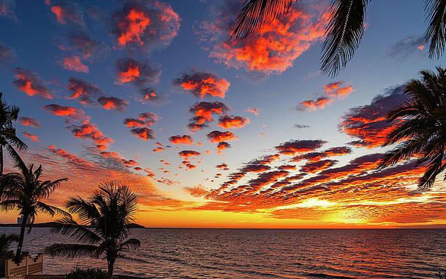 Photograph - Falling Into The Sunset Mazatlan Mexico by Tommy Farnsworth