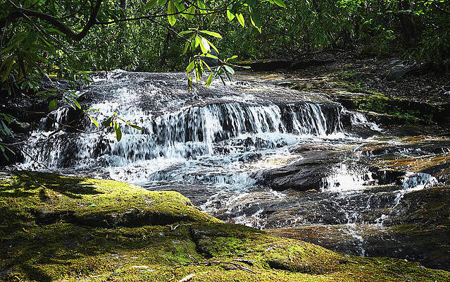 Cascading Forest Waterfall Wall Art