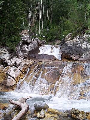 Colorado Wall Art featuring the photograph Falls On Yule Creek by Amanda R Wright