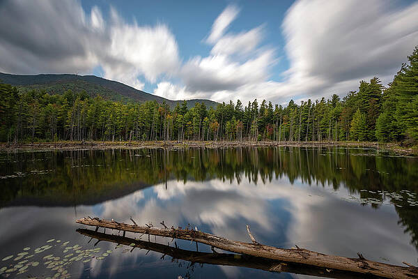Large Wall Art featuring the photograph Farewell To Summer by Todd Wilkinson