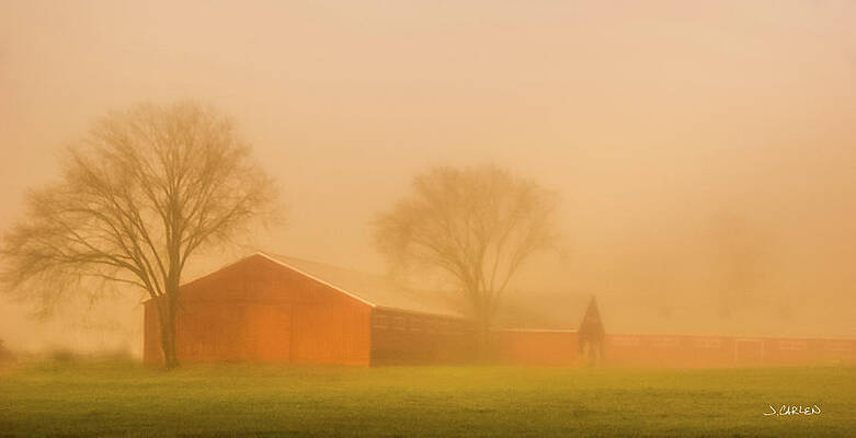 Farm Fog by Jim Carlen