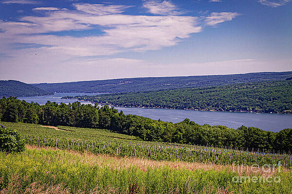 Sky Wall Art featuring the photograph Farm View by William Norton