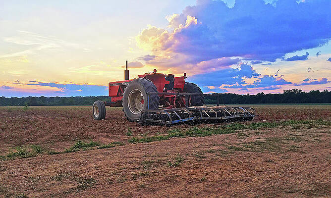 Southern Wall Art featuring the photograph Farmer's Sunset by Greg Lane