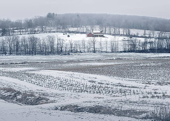 Winter Wall Art featuring the photograph Farmhouse In The Snow by Dave King