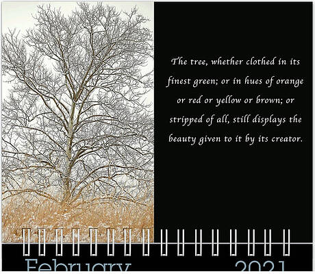 Inspirational Photograph - February 2021 Inspirational Calendar Preview by Joni Eskridge