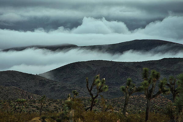 Misty Desert Mountains Wall Art