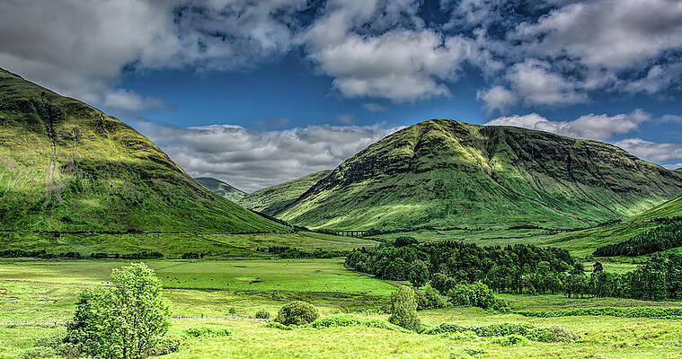 Vibrant Wall Art featuring the photograph Feeling High In The Highlands by Marcy Wielfaert