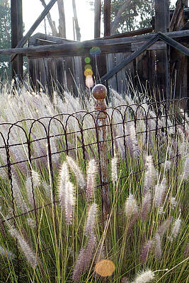 Wall Art featuring the photograph Fence Post by Gina Cinardo