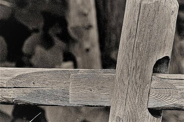 Wall Art featuring the photograph Fence Post by John Linnemeyer