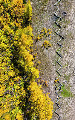 Yellow Wall Art featuring the photograph Fenced From Above by Kevin Schwalbe