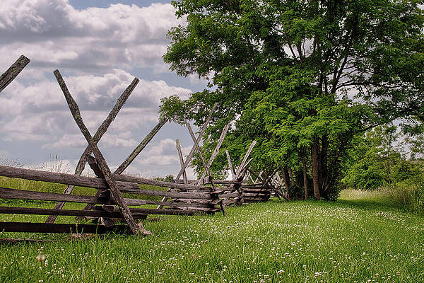 Wall Art featuring the photograph Fenced Pathway by American Landscapes