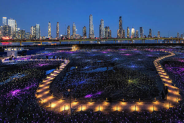 Wall Art featuring the photograph Field Of Light At Freedom Plaza NYC by Susan Candelario