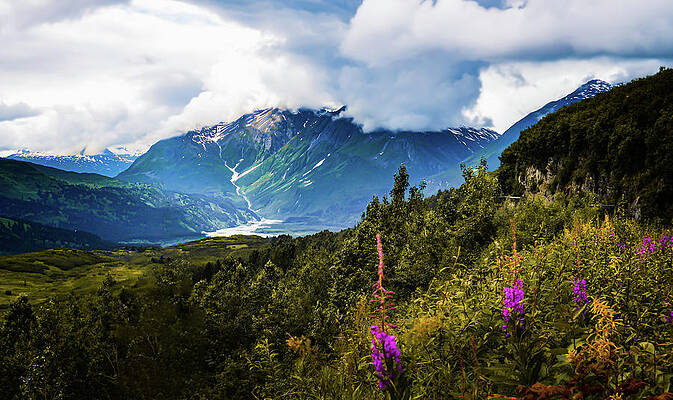 Summer Wall Art featuring the photograph Fields Of Elysium, Valdez Alaska by Shannon Williams