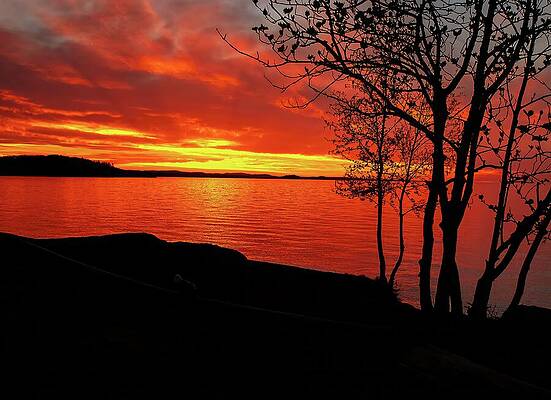 Nature Photograph - Fiery Sunset At Sunset Point by Deb Beausoleil