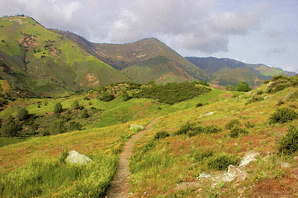 Quiet Wall Art featuring the photograph Figueroa by Barbara Siegel