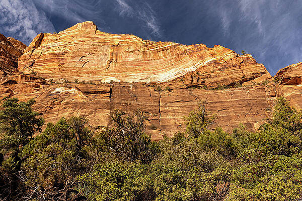 Desert Photograph - Figured Cliff Face by Craig A Walker