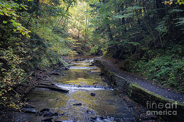 Fall Photograph - Fillmore Gorge 30 by William Norton