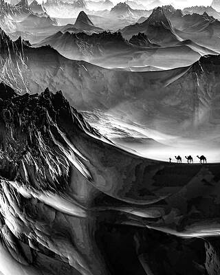 Camels on Majestic Mountain Landscape Photograph