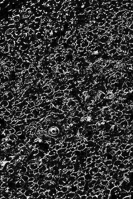 Wall Art featuring the digital art Find The Frog by Bruce Block