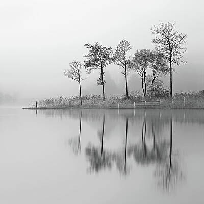 Reflection Wall Art featuring the photograph Fine Trees From The Misty Shore Of Loch Ard by Grant Glendinning