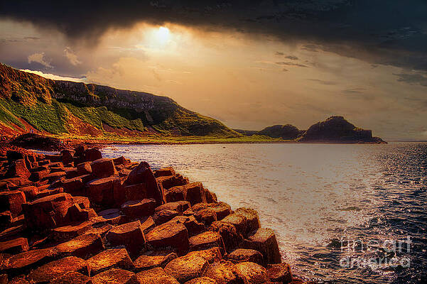 Wall Art featuring the photograph Finn's Path by Kype Hills