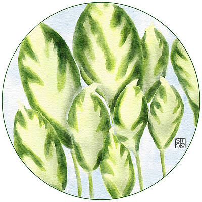 Iris Wall Art featuring the digital art Fire And Ice Hosta by Snow Iris Studio