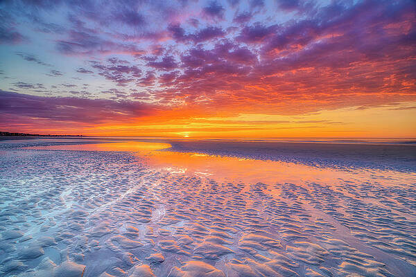 Wall Art featuring the photograph Fire In The Sky by Penny Polakoff