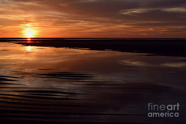 Reflection Photograph - First Encounter Reflections by Debra Banks