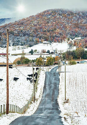 Mountain Photograph - First Snow 7865 by Dan Beauvais