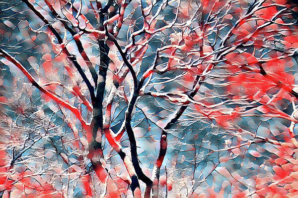 Background Photograph - First Snow by Gina Fitzhugh